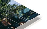 4J3A3211 HD Metal print