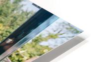 4J3A7106 HD Metal print