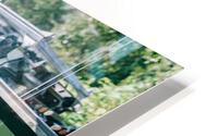 4J3A7117 HD Metal print