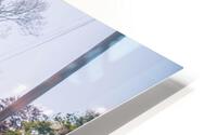 4J3A7099 HD Metal print