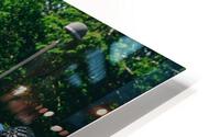 4J3A7147 HD Metal print
