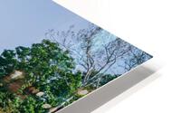 4J3A7320 HD Metal print