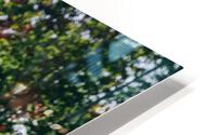 4J3A7351 HD Metal print