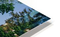 4J3A7474 HD Metal print