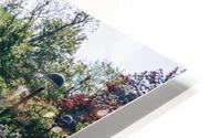 4J3A7285 HD Metal print