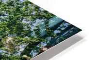 4J3A7216 HD Metal print