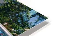4J3A7255 HD Metal print