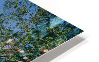 4J3A7251 HD Metal print