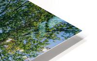 4J3A7175 HD Metal print