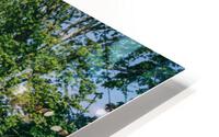 4J3A7394 HD Metal print