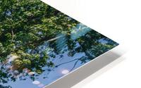 4J3A7424 HD Metal print