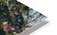 SF1A9504 HD Metal print