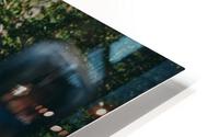 SF1A9330 HD Metal print
