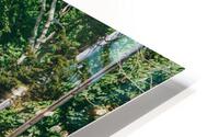 SF1A9271 HD Metal print