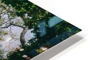SF1A9477 HD Metal print