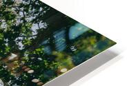 SF1A9508 HD Metal print