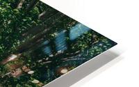 SF1A9386 HD Metal print