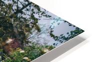 SF1A9519 HD Metal print