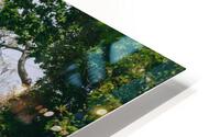 SF1A9458 HD Metal print