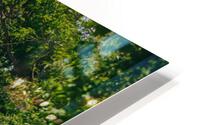 SF1A9492 HD Metal print