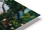 SF1A9446 HD Metal print