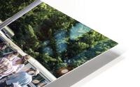 ccs 6 HD Metal print