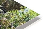 ccs 36 HD Metal print