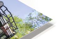 ccs 23 HD Metal print