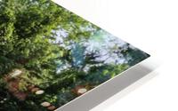 ccs 38 HD Metal print