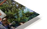ccs 37 HD Metal print