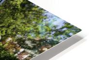 ccs 22 HD Metal print