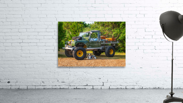 The Vineyard Series Wall Preview