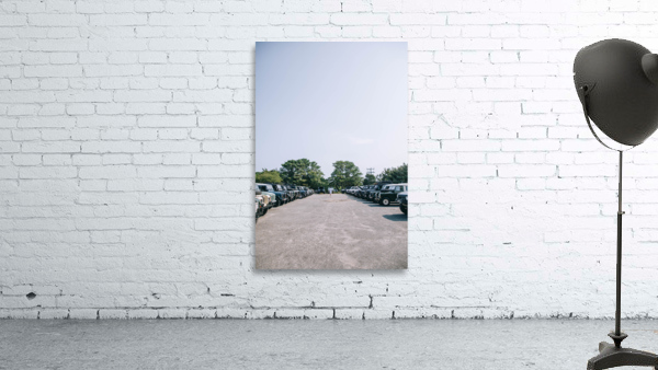 4J3A6946 Wall Preview