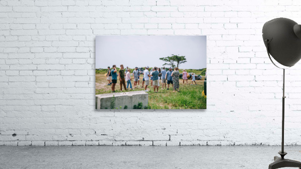 4J3A7589 Wall Preview