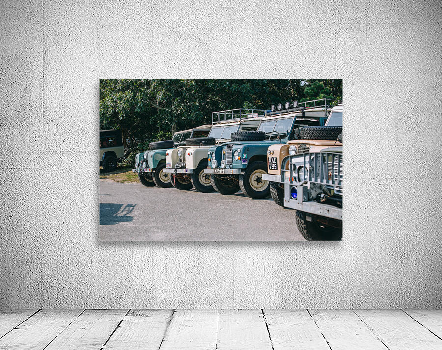 SF1A6413 Wall Preview