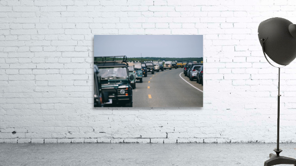 SF1A6726 Wall Preview