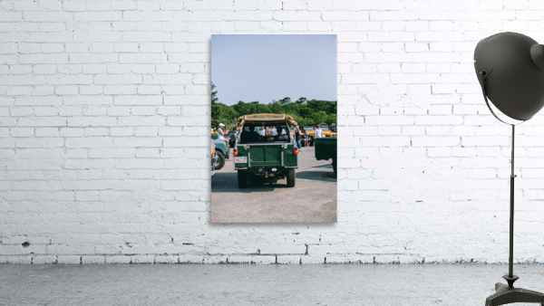 SF1A6453 Wall Preview