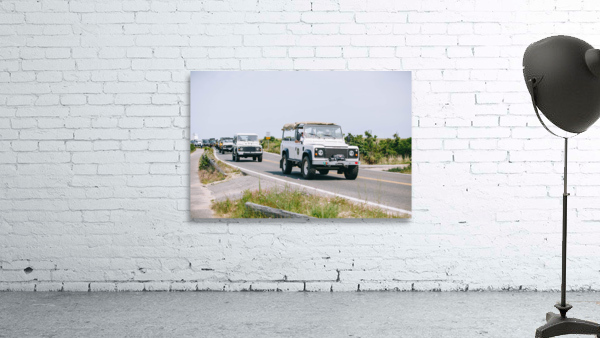 SF1A6875 Wall Preview