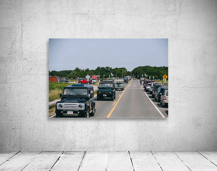 SF1A6606 Wall Preview