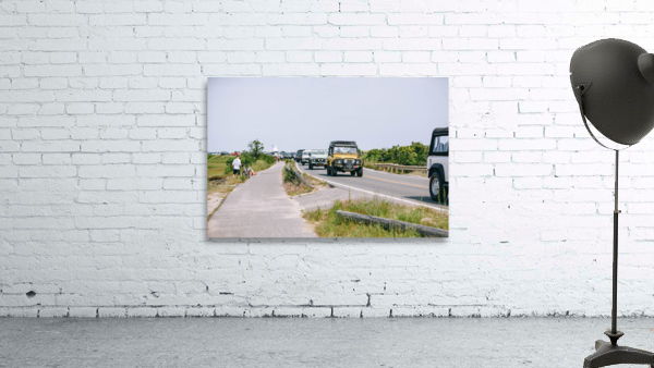 SF1A6883 Wall Preview
