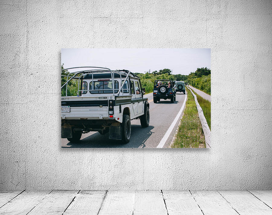 SF1A6855 Wall Preview