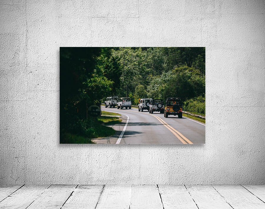 SF1A6930 Wall Preview