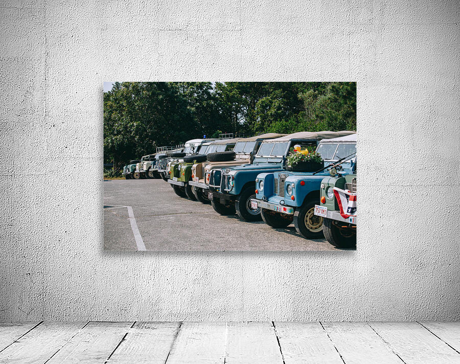 SF1A6514 Wall Preview