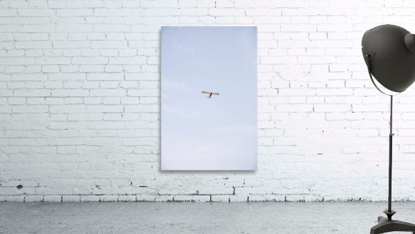 SF1A7118 Wall Preview