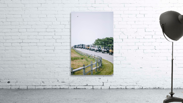 SF1A7042 Wall Preview