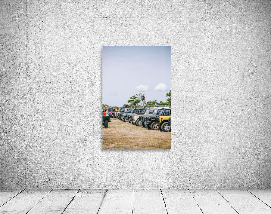 SF1A7106 Wall Preview