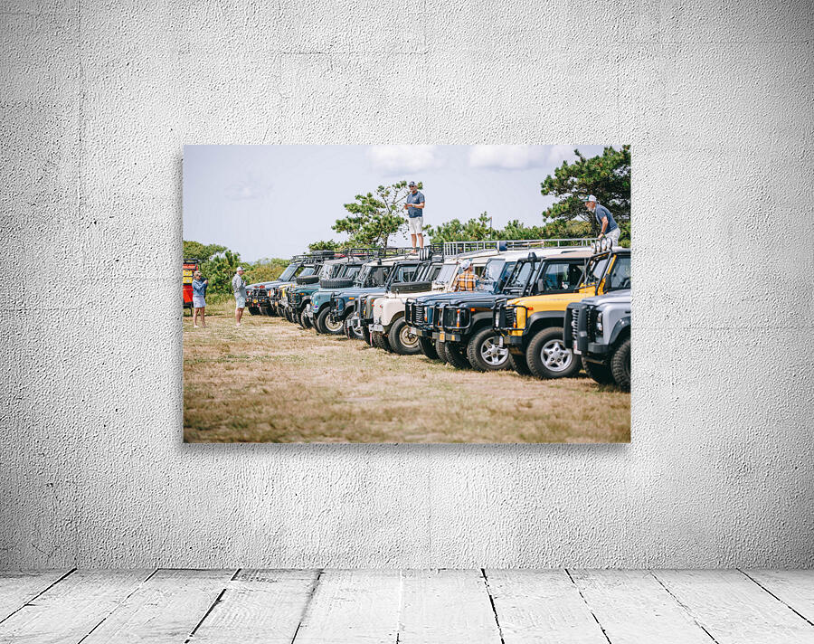 SF1A7104 Wall Preview