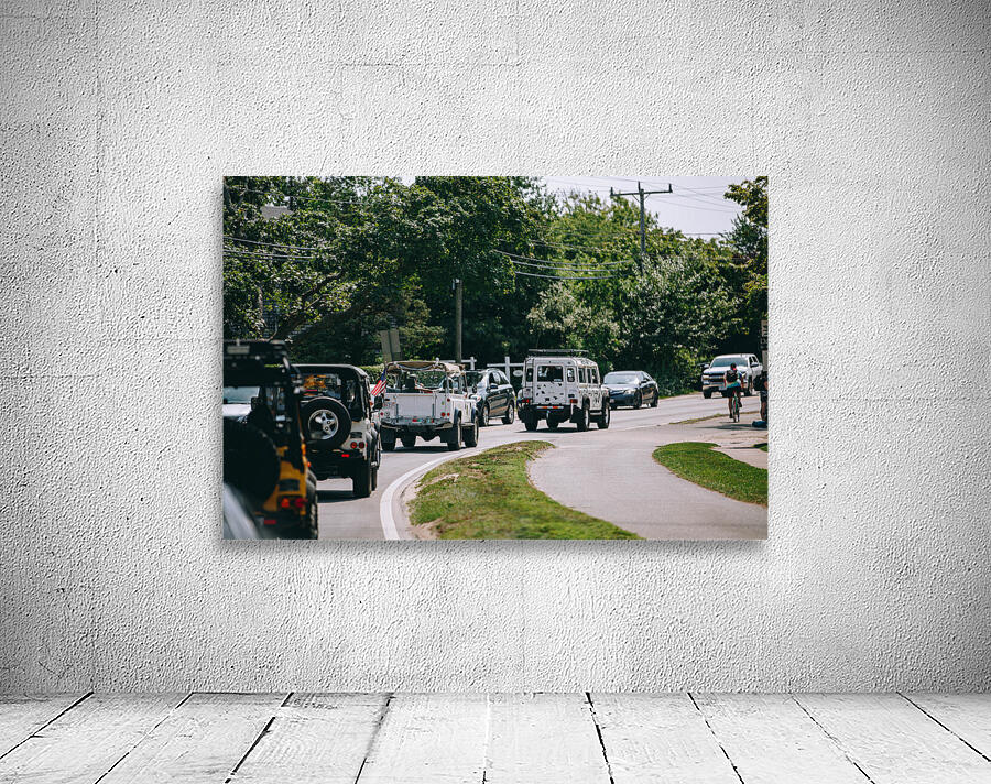 SF1A6965 Wall Preview