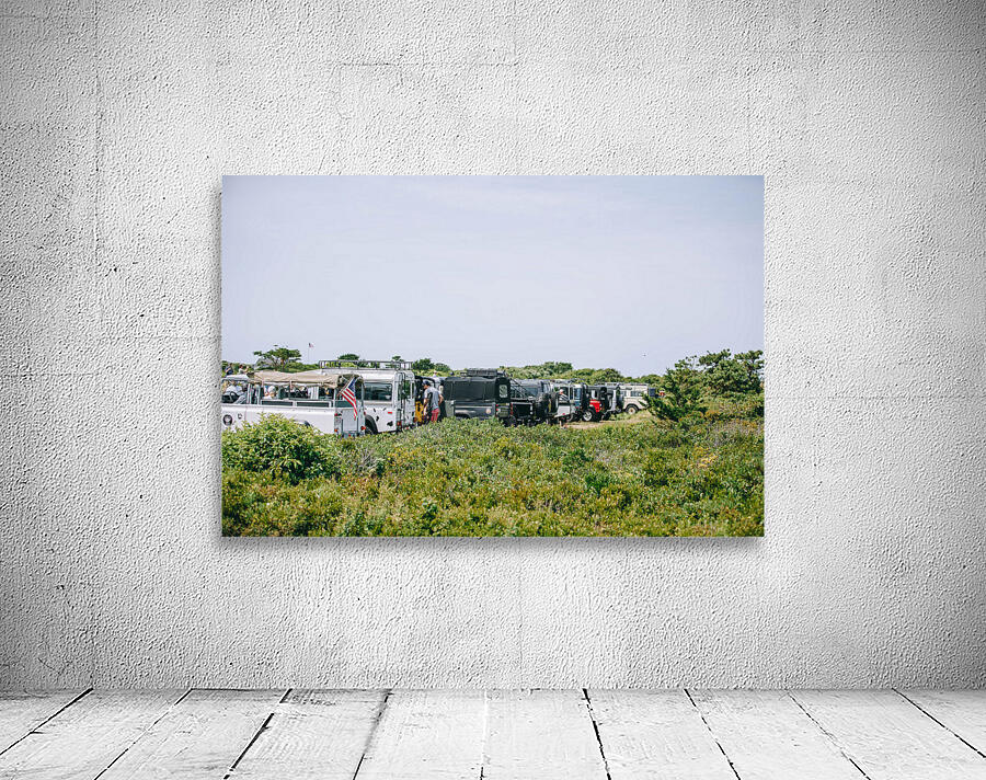 SF1A7066 Wall Preview