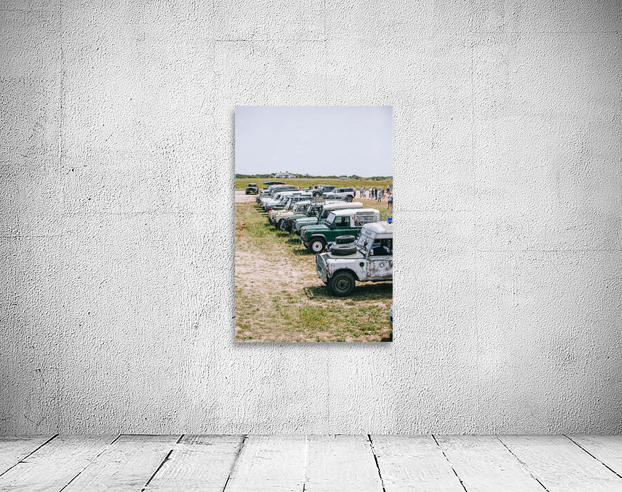 SF1A7142 Wall Preview